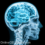 Study of Memory  Ethical Consideration psychology continuing education